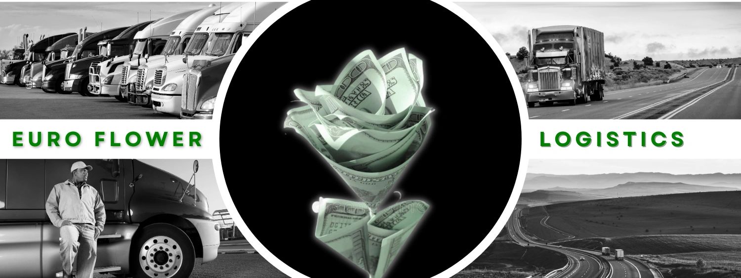 Euro Flower Logistics